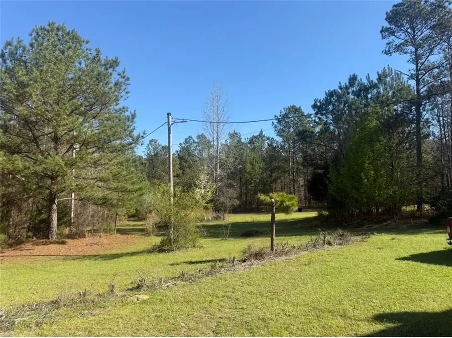 1010 Lee Road 134, Salem, AL 36874 - #2