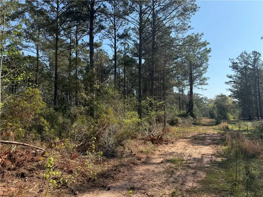 0 Jackson Road, Camp Hill, AL 36850 - #3