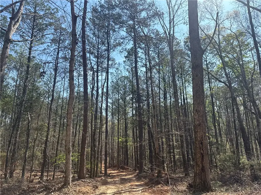 0 Heard Road, Camp Hill, AL 36850 - #2