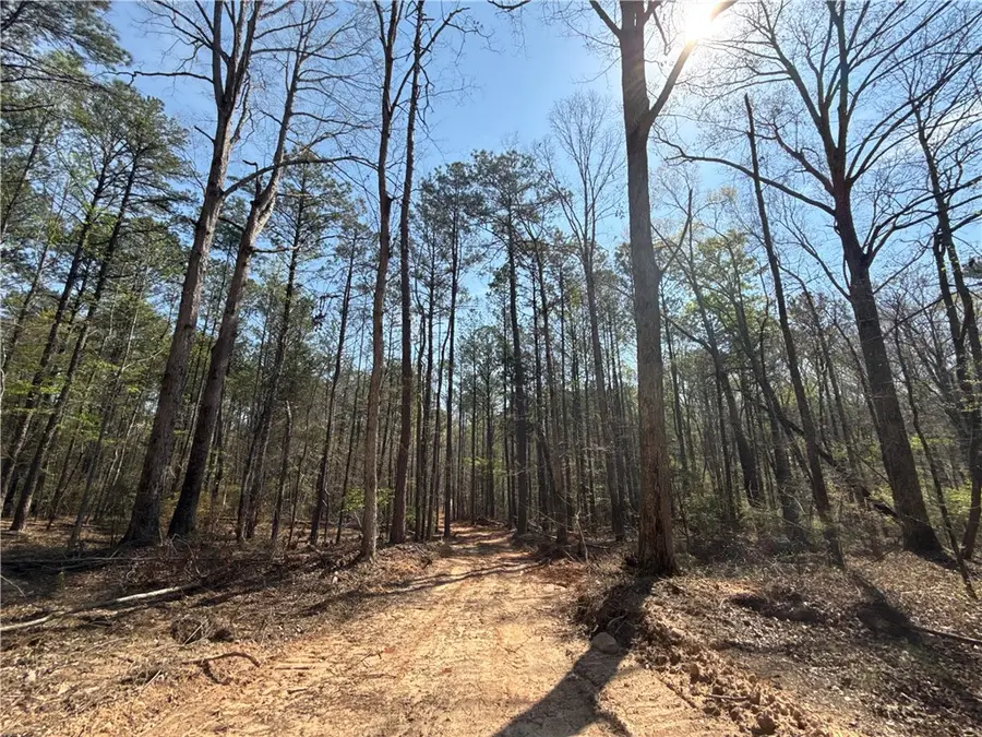 0 Heard Road, Camp Hill, AL 36850 - #3