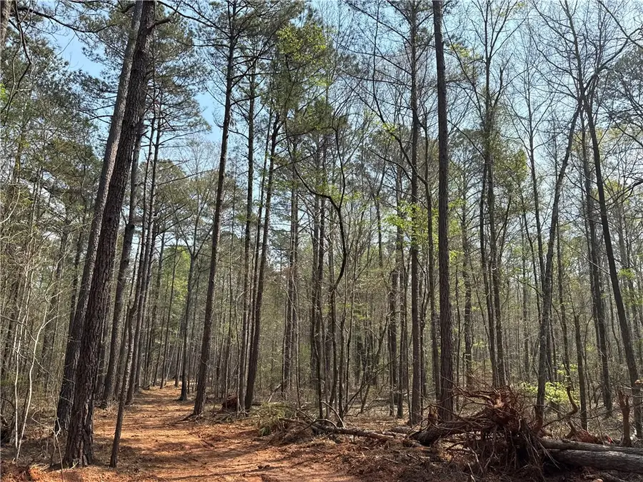 0 Heard Road, Camp Hill, AL 36850 - #2