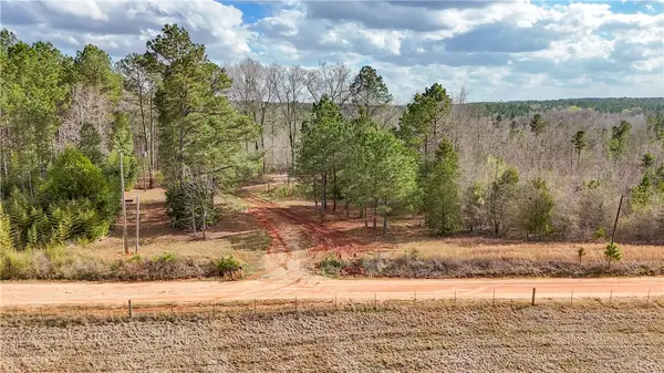 0 County Road 65, Lafayette, AL 36862