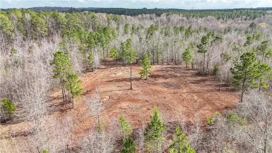 0 County Road 65, Lafayette, AL 36862 - #3