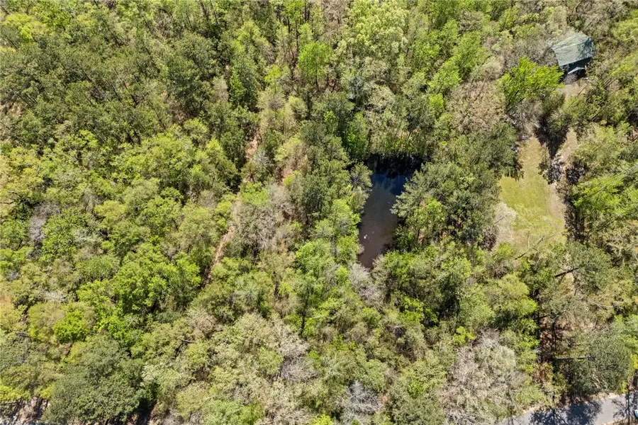 1398 Lee Road 45, Opelika, AL 36804 - #2