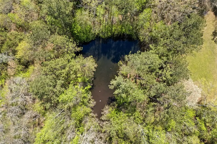 1398 Lee Road 45, Opelika, AL 36804 - #3