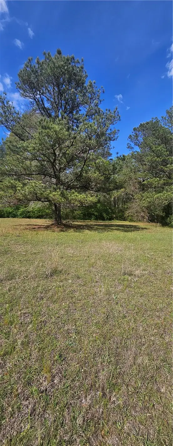 925 Lee Road 238, Phenix City, AL 36870 - #2