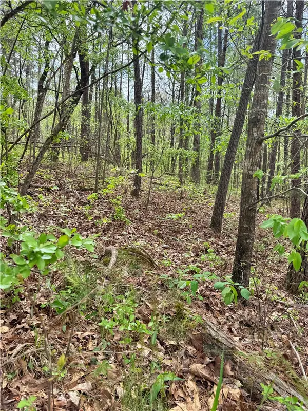 Lot 24 Marshall Drive, McCalla, AL 35111