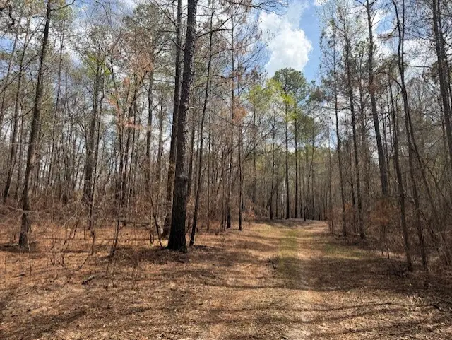 7501 Glassy Mill Road, Auburn, AL 36830 - #3