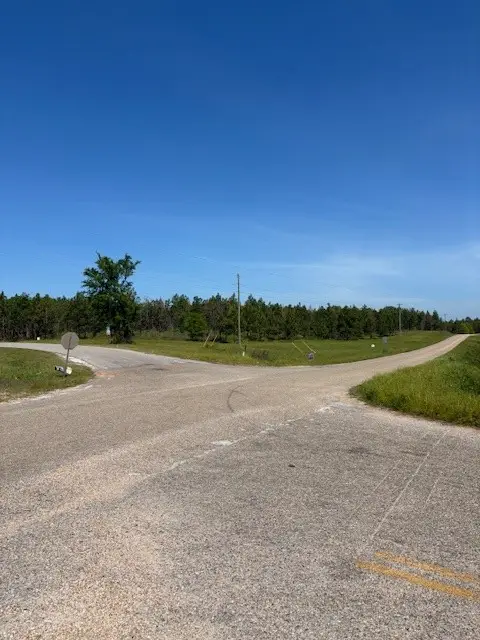 1 Society Hill Road, Auburn, AL 36830 - #1