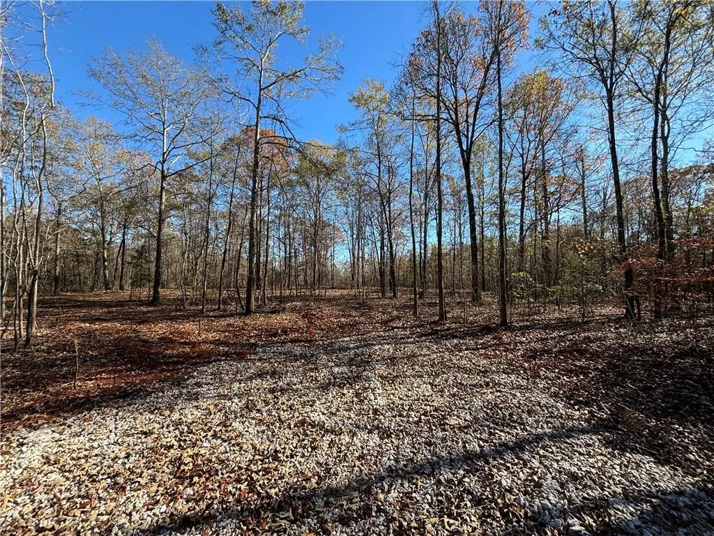 Lot # 3 Lee Road 344, Salem, AL 36874 - #1