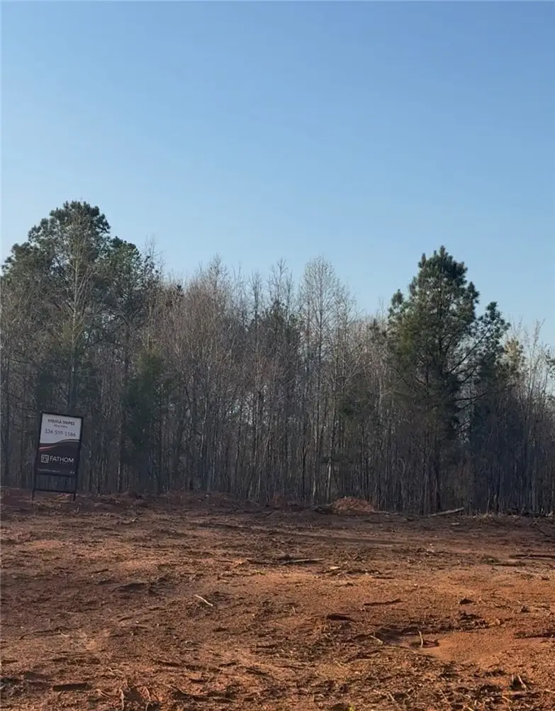 Lot 2 Lee Road 158, Salem, AL 36874 - #2