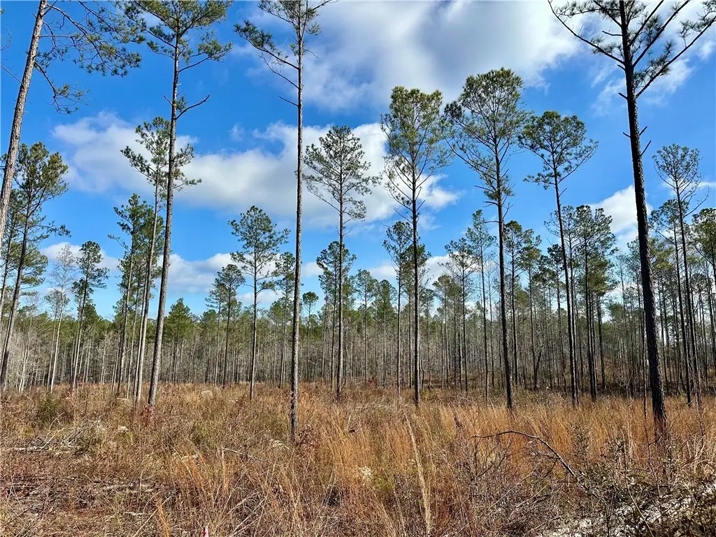 0 Lee Road 278, Salem, AL 36874 - #1