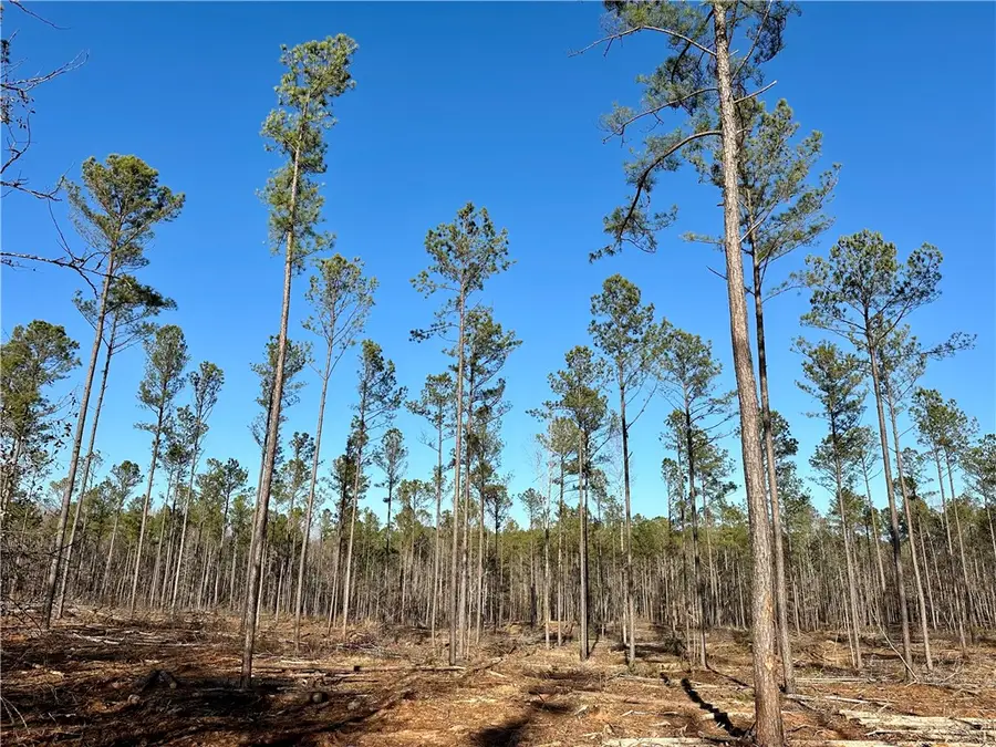 0 Lee Road 278, Salem, AL 36874 - #3