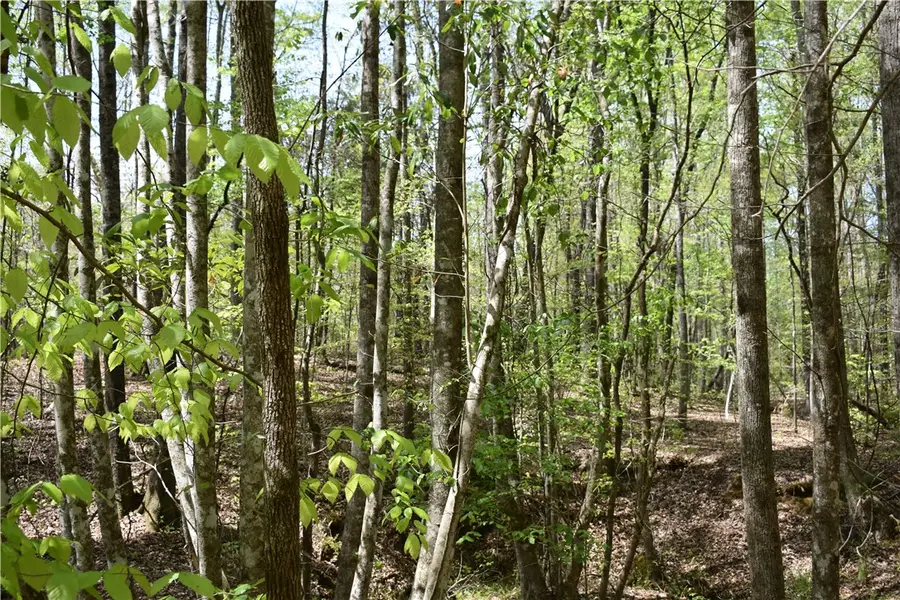 0 Jackson Road, Camp Hill, AL 36850 - #2