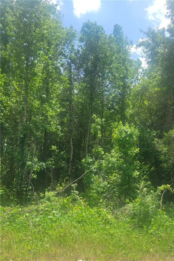 00 O. B. Brown Road, Auburn, AL 36830
