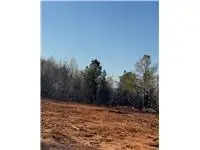 Lot 4 Lee Road 158, Salem, AL 36874 - #1