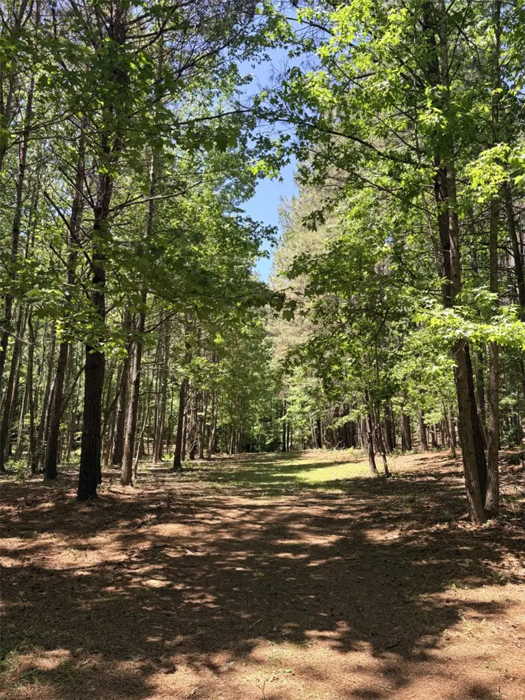 4602 Pebble Shore Drive, Opelika, AL 36804 - #2