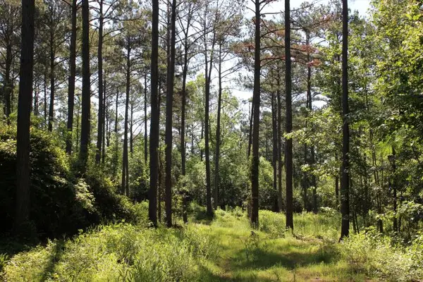 Address Withheld By Seller, Notasulga, AL 36866