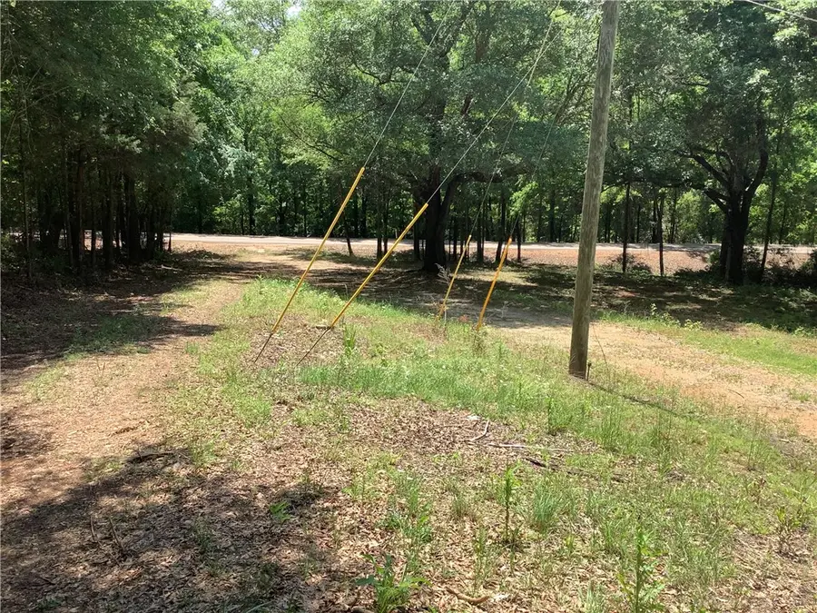 3125 Lee Road 375, Valley, AL 36854 - #2