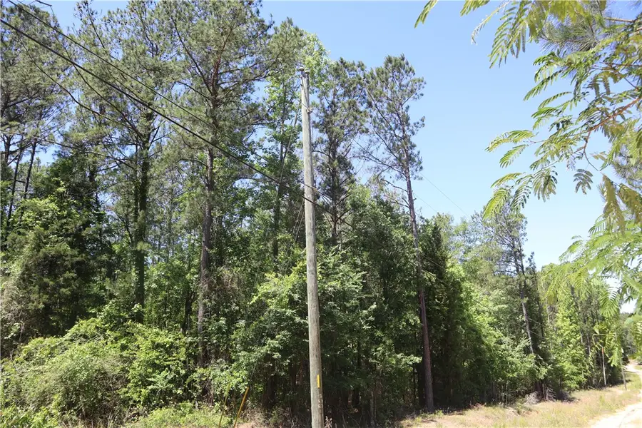 293-297 Powerline Road, Auburn, AL 36831 - #2