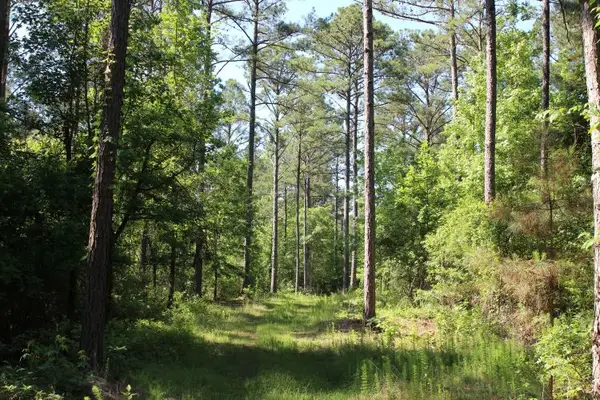 0 Hayes Mill, Notasulga, AL 36866