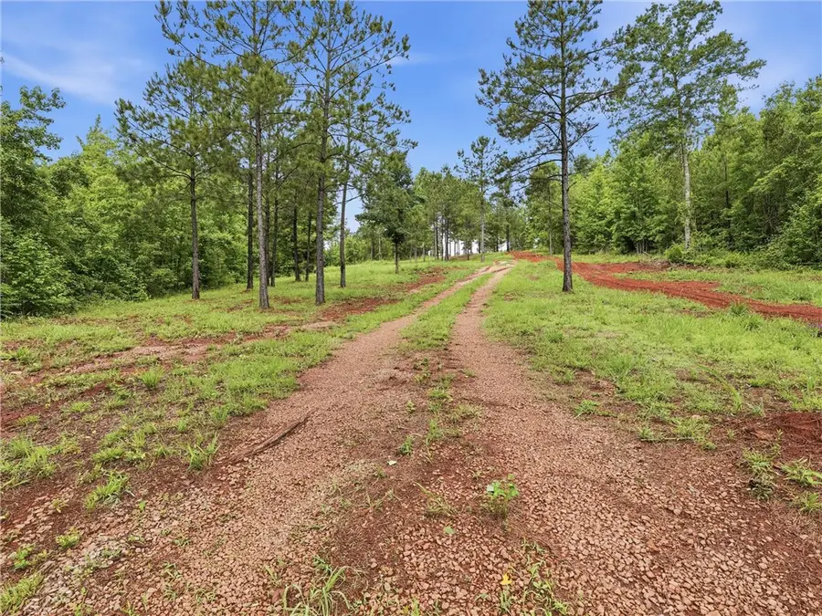 2700 Lee Road 78, Waverly, AL 36879 - #3