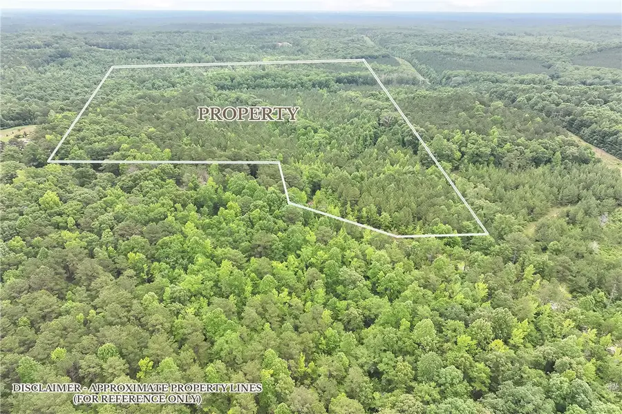 0 Lee Road 70, Loachapoka Roxana, AL 36879 - #2