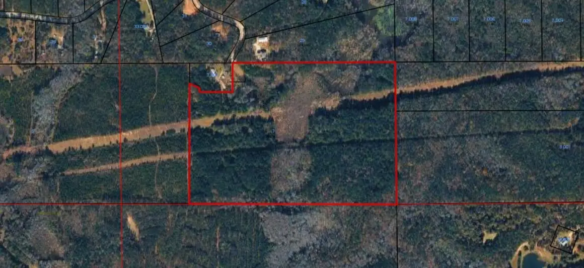 0 Lee Road 757, Opelika, AL 36804 - #1