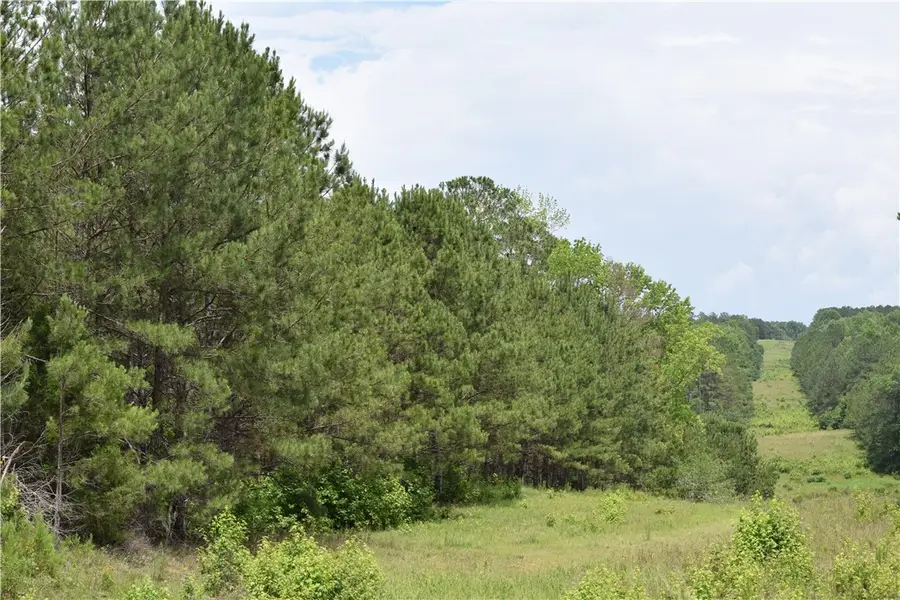 0 Lee Road 757, Opelika, AL 36804 - #2
