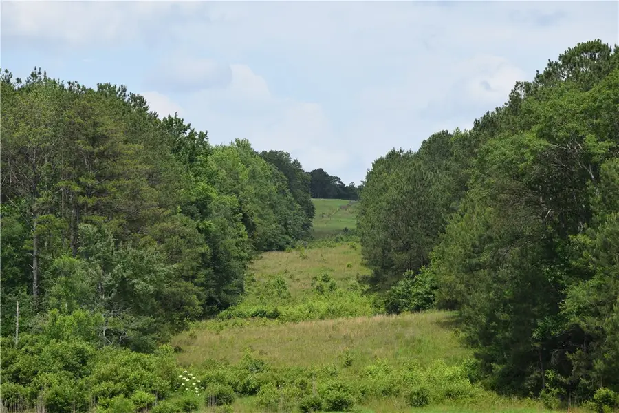 0 Lee Road 757, Opelika, AL 36804 - #3