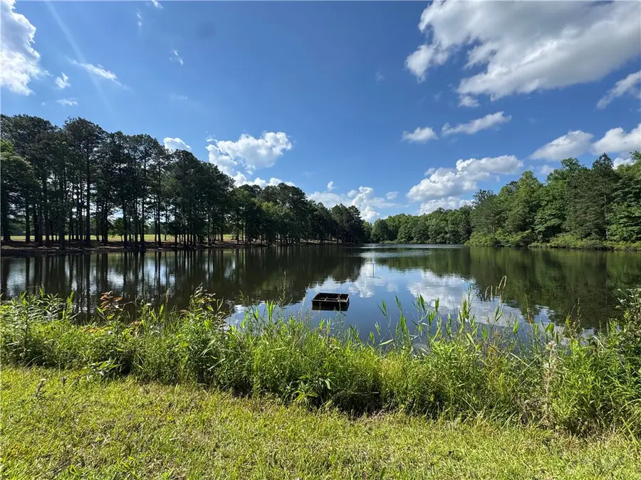 980 Hanson Farms Drive, Auburn, AL 36830 - #3
