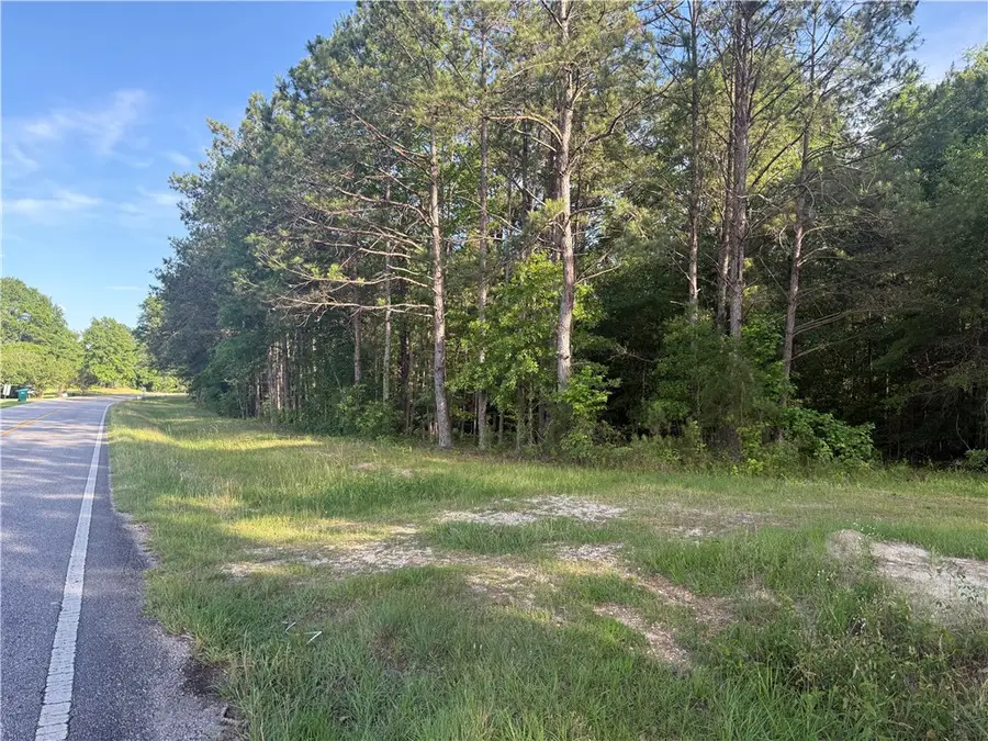 0 Main Street, Notasulga, AL 36866 - #2