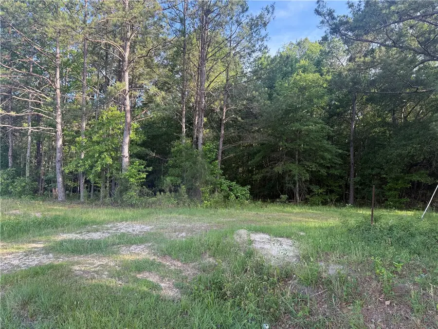0 Main Street, Notasulga, AL 36866 - #3