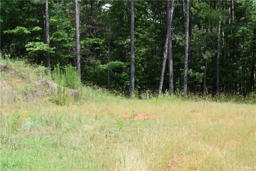 0 Lee Road 757, Opelika, AL 36804 - #1
