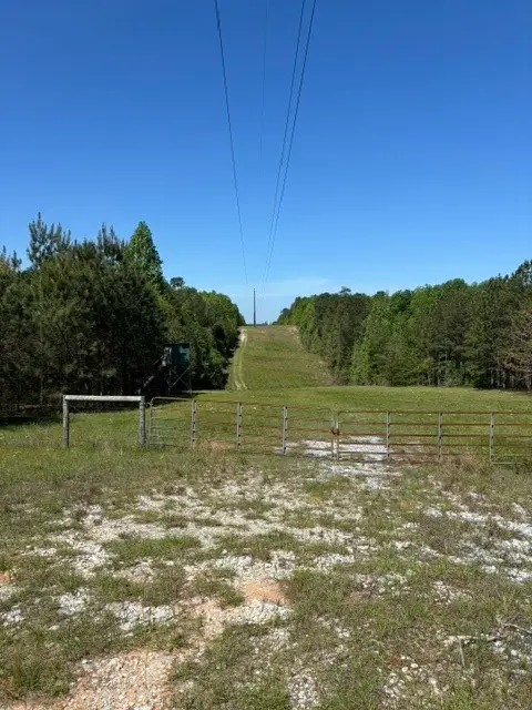 2 Society Hill Road, Auburn, AL 36830 - #2