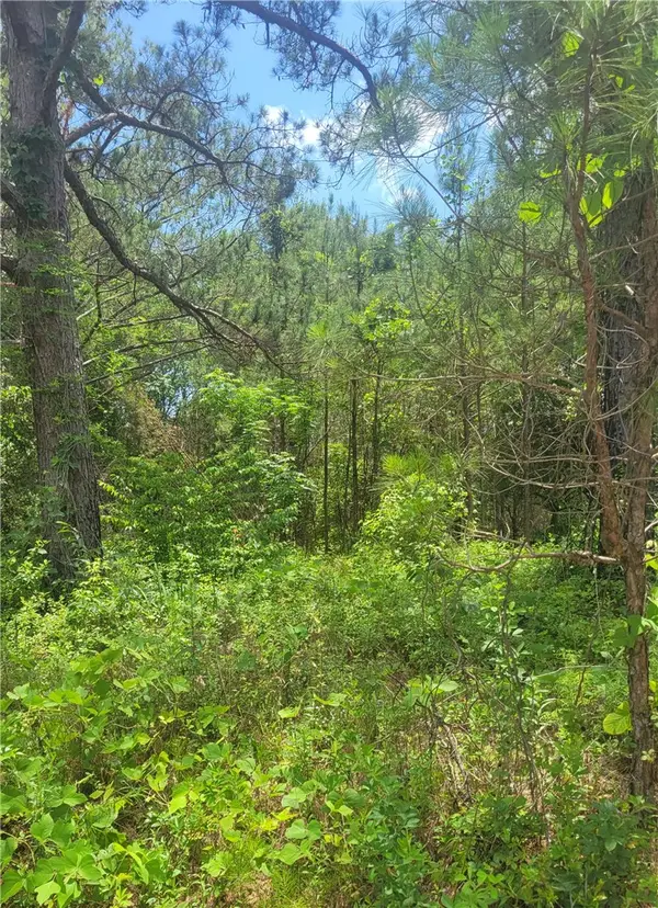 00 O. B. Brown Road, Auburn, AL 36830