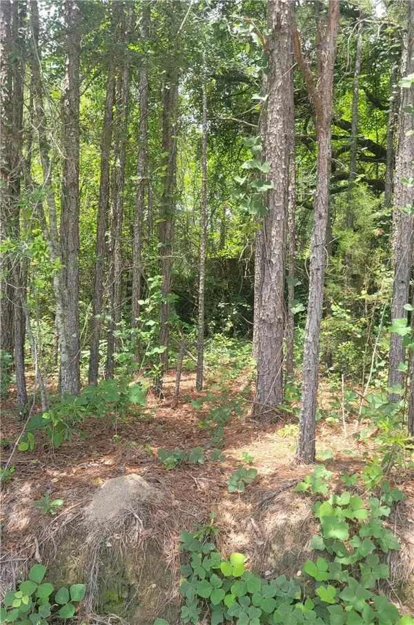 01 O. B. Brown Road, Auburn, AL 36830