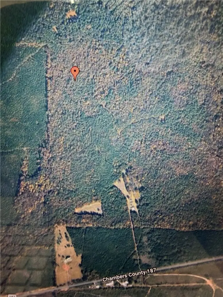 County Road 187 County Road 187, Lanett, AL 36863 - #2