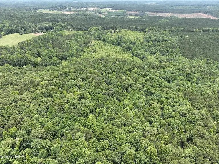 00 Lindsey Road, Eclectic, AL 36024 - #3