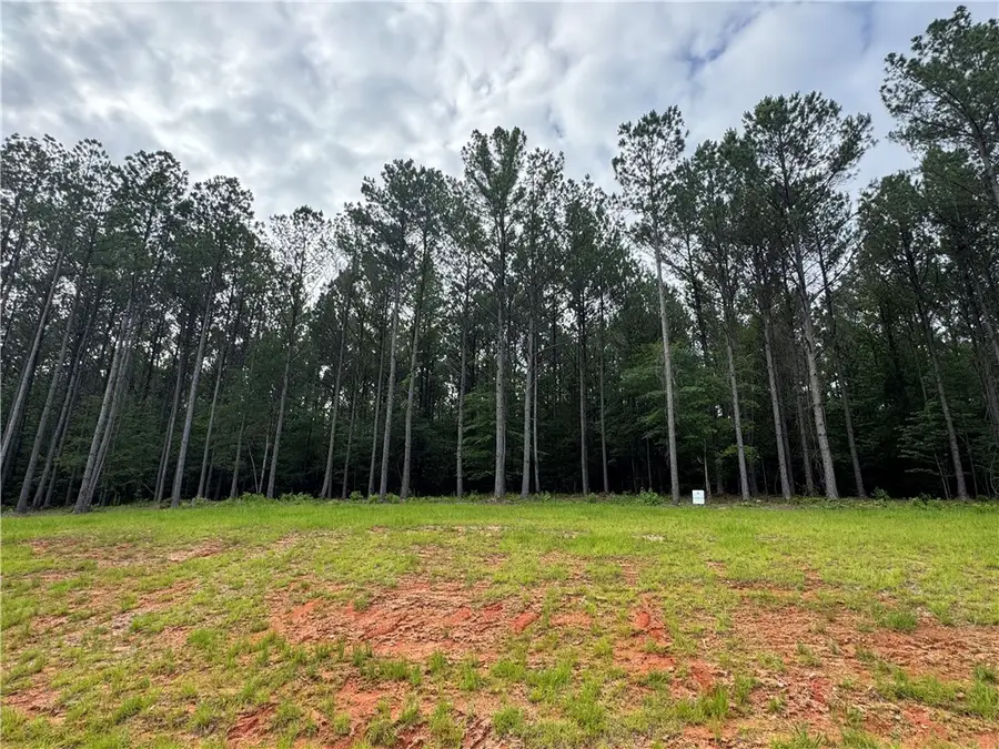 2220 Winchester Lane, Auburn, AL 36879 - #2