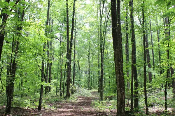 Address Withheld By Seller, Goodwater, AL 35072