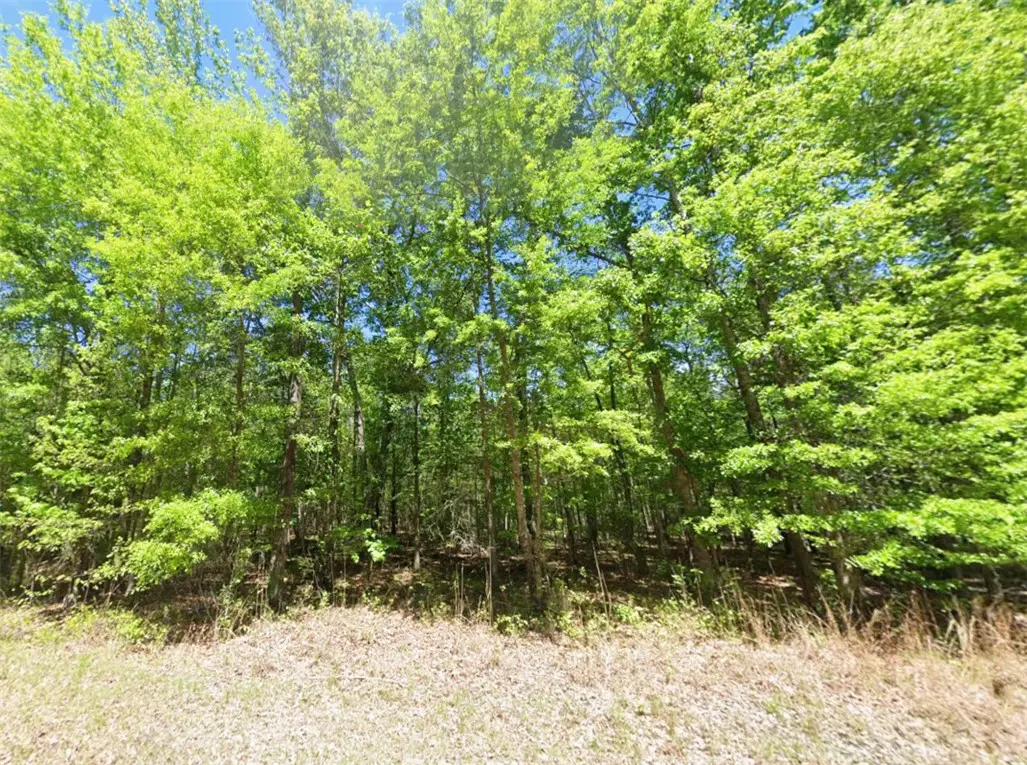 0 Greenwood Drive, Hardaway, AL 36039 - #1