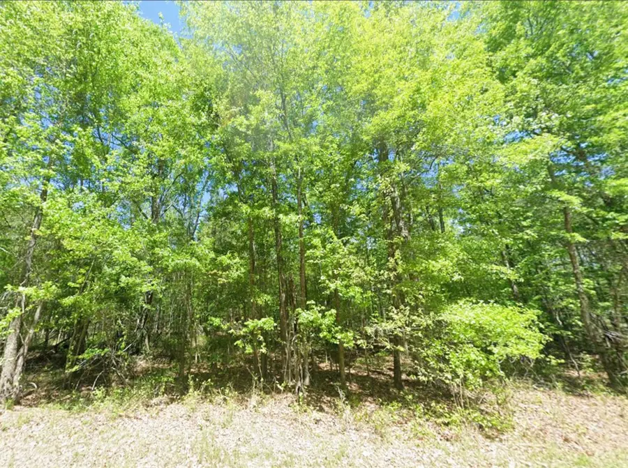 0 Greenwood Drive, Hardaway, AL 36039 - #2