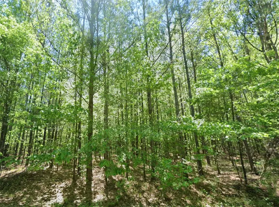 0 Greenwood Drive, Hardaway, AL 36039 - #3