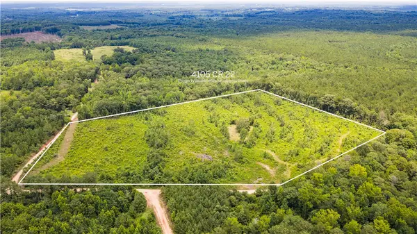4105 County Road 22, Waverly, AL 36879
