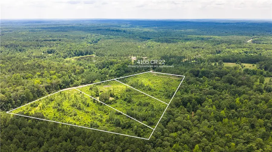 4105 County Road 22, Waverly, AL 36879 - #3
