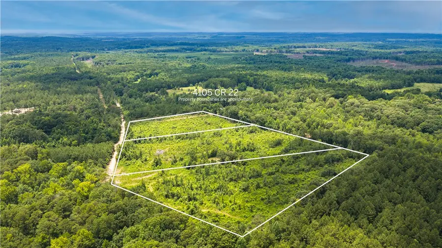 4105 County Road 22, Waverly, AL 36879 - #3