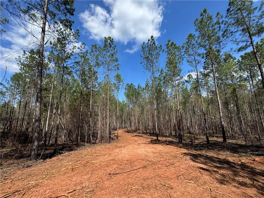 0 Barron's Bridge, Dadeville, AL 36853 - #2