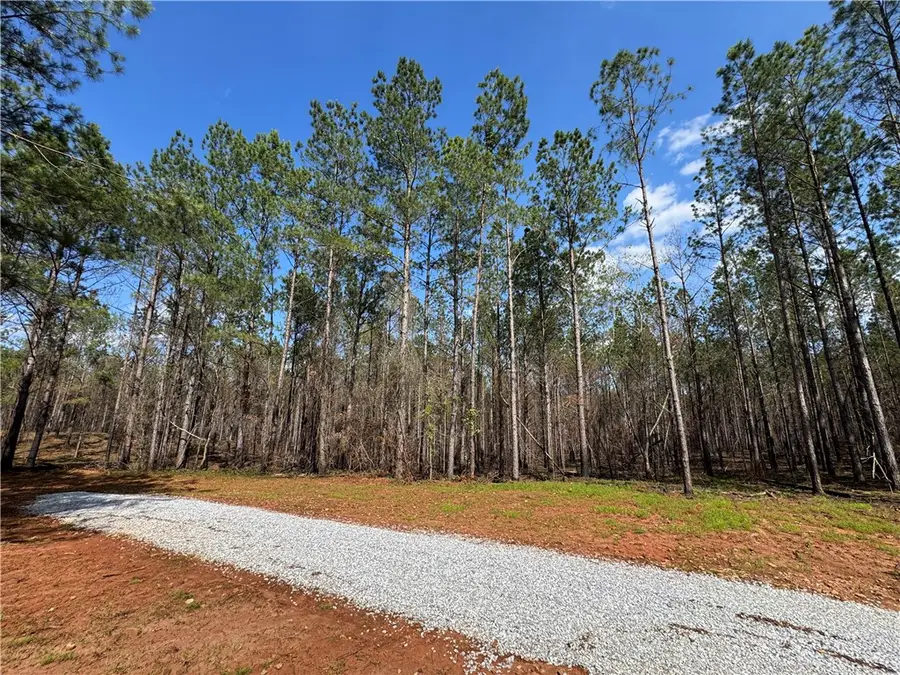0 Barron's Bridge, Dadeville, AL 36853 - #2