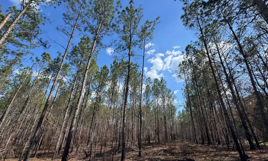0 Barron's Bridge, Dadeville, AL 36853 - #3